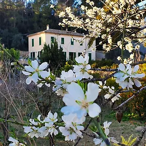 Sa Maniga , Bunyola Spanje
